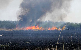 Strażacy walczą z wypalaniem traw
